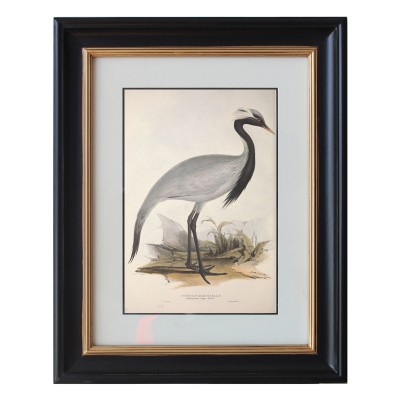 Traditional Black Bird Wall Decorative Photo Frame